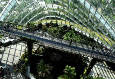 BioflyTech_desarrollo_sostenible