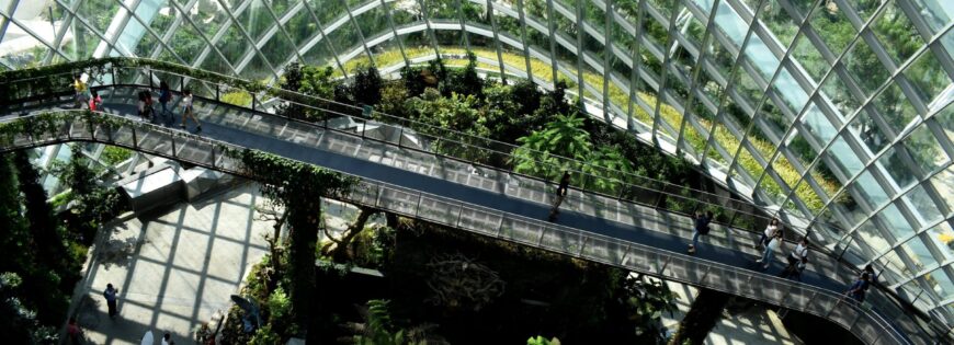 BioflyTech_desarrollo_sostenible