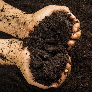 Compost para agricultura